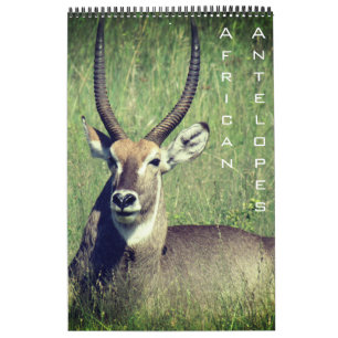 Afrikanische Antilopensafari 2025 Kalender