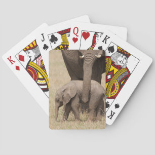 Afrikanische Baby Elephant mit Mutter Spielkarten