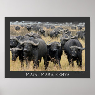 Afrikanische Büffel des Masai-Mara-Plakats Poster