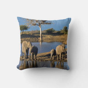 Afrikanische Buschelefanten (Loxodonta Africana) Kissen