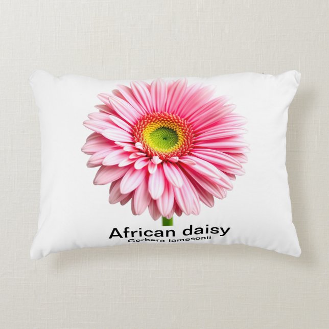 Afrikanische Daisy-Blume Dekokissen (Vorderseite)