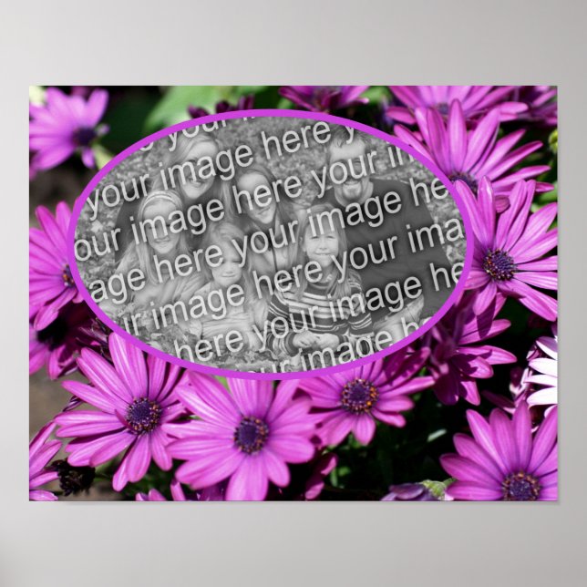 Afrikanische Daisy-Blume gestalten Ihr eigenes Fot Poster (Vorne)