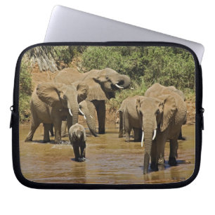 Afrikanische Elefanten, Loxodonta Africana, Sambur Laptopschutzhülle