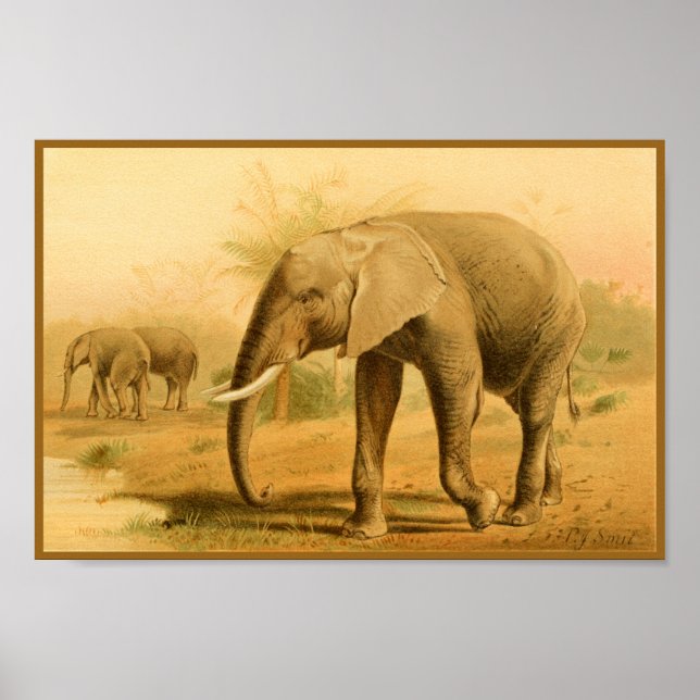 Afrikanische Elefanten Vintage Tierkunst Poster (Vorne)
