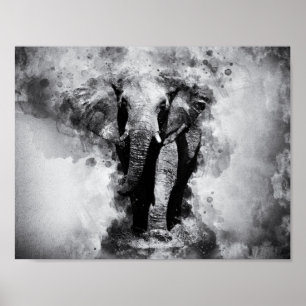 Afrikanische Elefantenfarbe Schwarz und Weiß Poster
