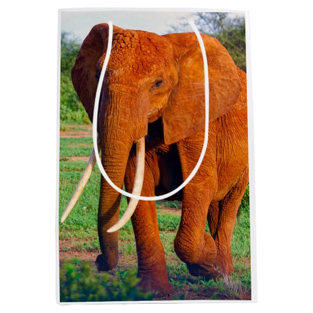 Afrikanische Elefantenfotografie Mittlere Geschenktüte (Vorderseite)