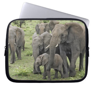 afrikanische Elefantenherde, Loxodonta africana, 2 Laptopschutzhülle