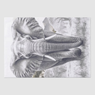 Afrikanische Elephant Pencil Sketch Seidenpapier