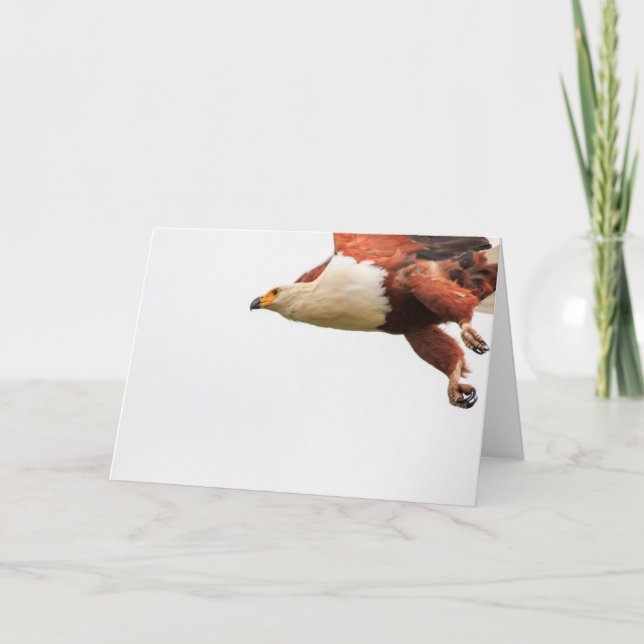 Afrikanische Fische Eagle im Flug Feiertagskarte (Vorderseite)