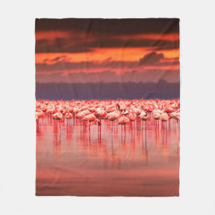 Afrikanische Flamingos im See über schöne Sonne Fleecedecke