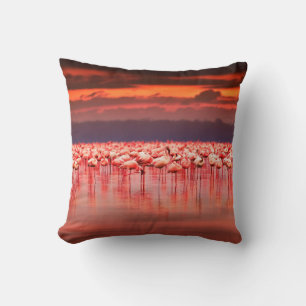 Afrikanische Flamingos im See über schöne Sonne Kissen