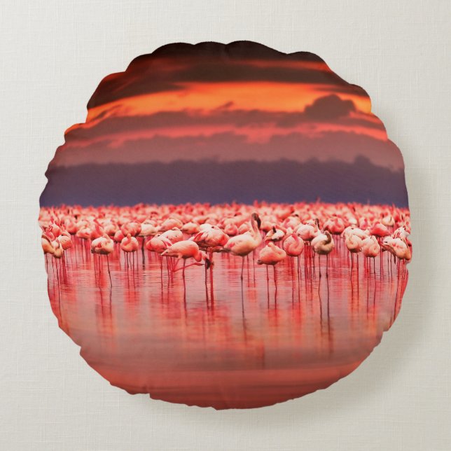 Afrikanische Flamingos im See über schöne Sonne Rundes Kissen (Vorderseite)