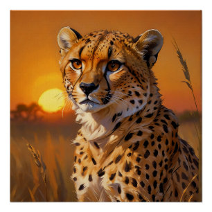 Afrikanische Geparden bei Sonnenuntergang Poster