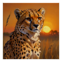 Afrikanische Geparden bei Sonnenuntergang