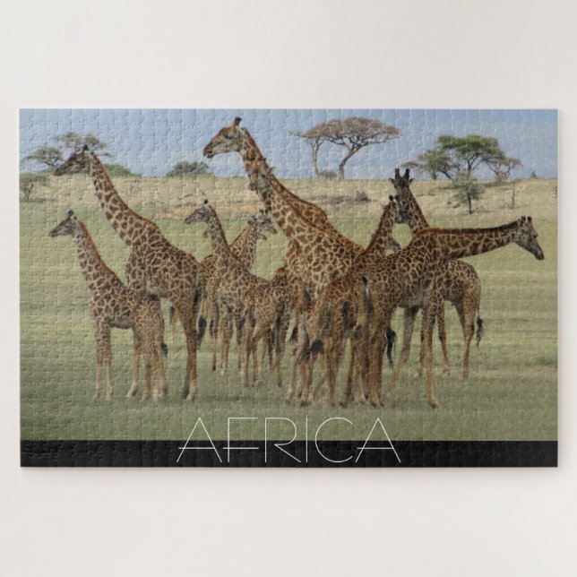 afrikanische Giraffen (Horizontal)