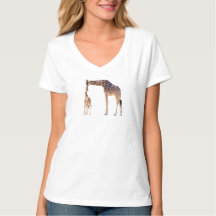 Afrikanische Giraffen