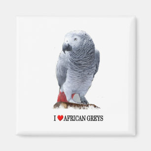 Afrikanische Grau des Herzens I Magnet
