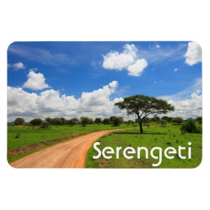 Afrikanische Landschaft Magnet