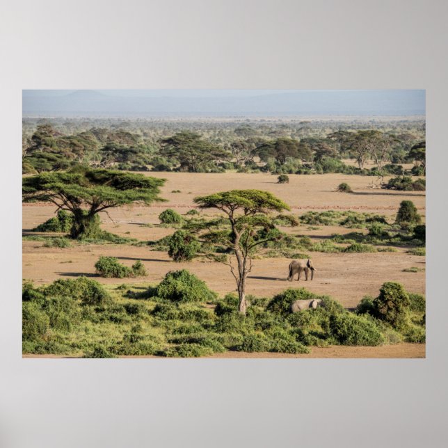 Afrikanische Landschaft mit Elefant Poster (Vorne)