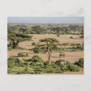 Afrikanische Landschaft mit Elefant Postkarte