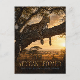 Afrikanische Leopard-Akazien-Savanne-TIERE Postkarte