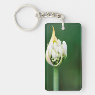 Afrikanische Lilie, Agapanthus Praecox, Kapstadt Schlüsselanhänger