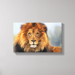 afrikanische Lion 1 Leinwanddruck