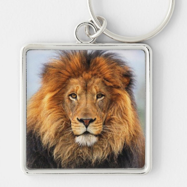 afrikanische Lion 1 Schlüsselanhänger (Vorne)