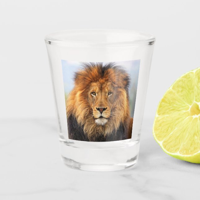 afrikanische Lion 1 Schnapsglas (Vorderseite)