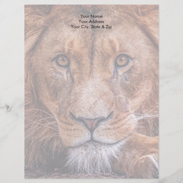 Afrikanische Lion Briefbogen (Vorderseite)