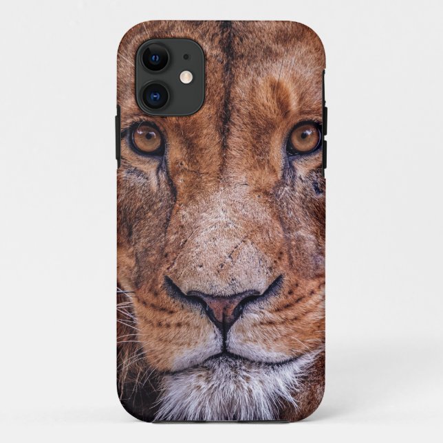 Afrikanische Lion Case-Mate iPhone Hülle (Rückseite)