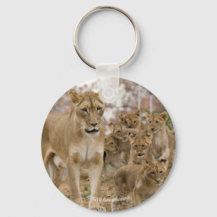 Afrikanische Lion Cubs mit Mutter Schlüsselanhänger