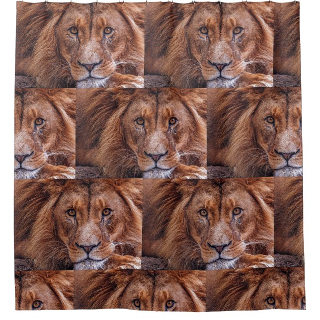 Afrikanische Lion Duschvorhang (Vorderseite)