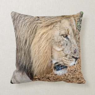 Afrikanische Lion Kissen
