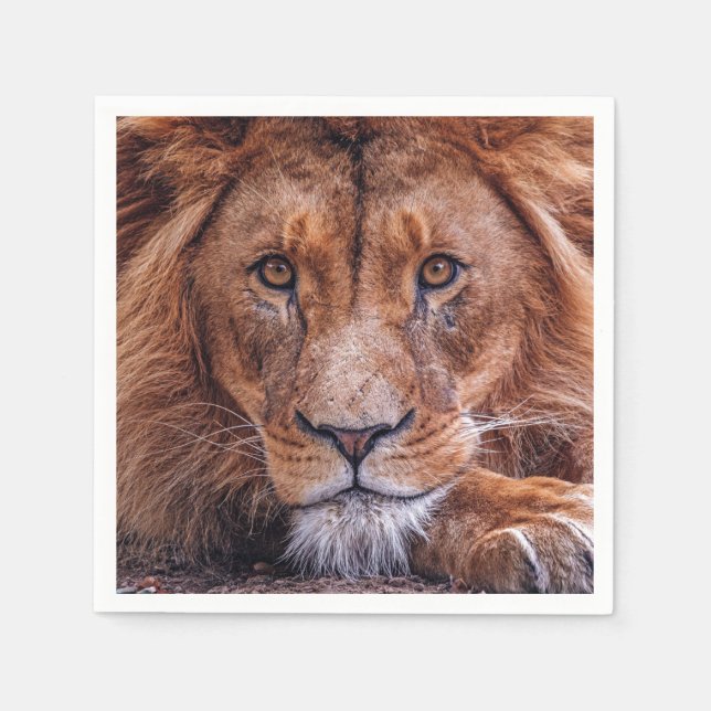 Afrikanische Lion Serviette (Vorderseite)