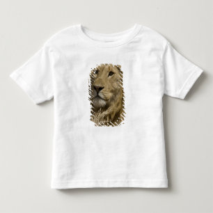 Afrikanische Löwe, Panthera leo, Portrait eines Kleinkind T-shirt