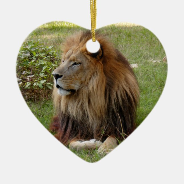 Afrikanische Löwe-Weihnachtsverzierung Keramik Ornament (Vorne)
