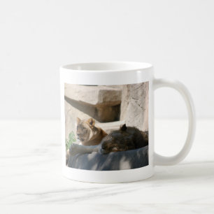 Afrikanische Löwen Kaffeetasse