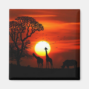 Afrikanische Magnet