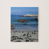 Afrikanische Pinguine am Flussstein-Strand, in