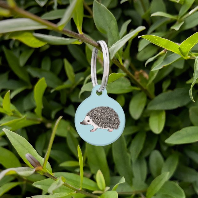 Afrikanische Pygmäen-Igel Niedlicher Cartoon Illus Haustiermarke (Von Creator hochgeladen)