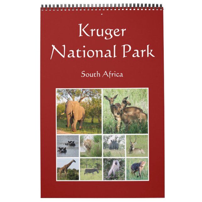 Afrikanische Safari Kalender (Titelbild)