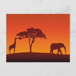 Afrikanische Safari-Silhouette - Postkarte