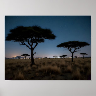 Afrikanische Savanne Akazienbäume Sterne Nachtland Poster