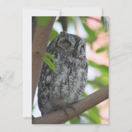 Afrikanische Scops-Eule schläft in einem Baum Dankeskarte