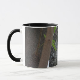 Afrikanische Scops-Eule schläft in einem Baum Tasse