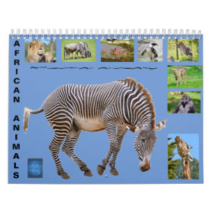 Afrikanische Tiere 12 Monate Kalender