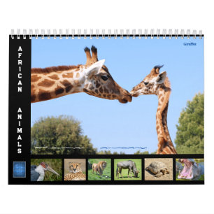 Afrikanische Tiere 12 Monate Kalender