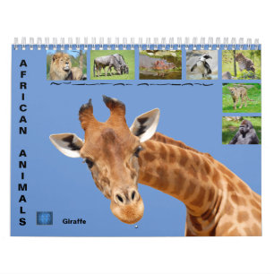 Afrikanische Tiere 12 Monate Kalender