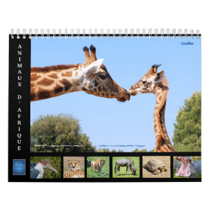Afrikanische Tiere 12 Monate Kalender